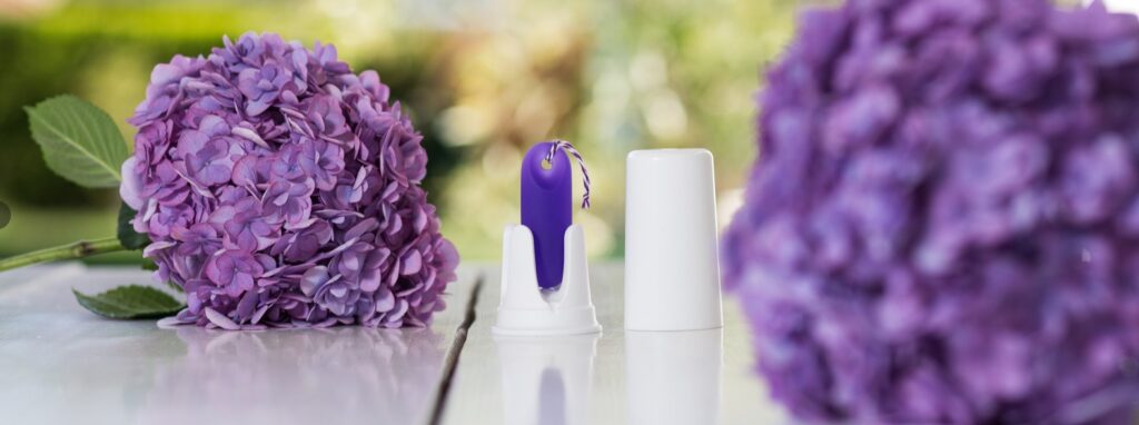 Panorama-Ansicht eines violetten trackle Sensors, der in seiner weißen Box steht, daneben die passende weiße Kappe. Die Hardware steht auf einem weißen Holztisch im Freien, eingerahmt von zwei großen, blühenden lila Hortensien-Blüten vor einem unscharfen, grünen Hintergrund.